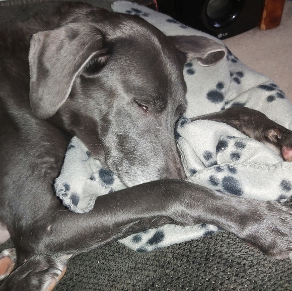 Meet your Posher, Dawn - Picture 6 of 9